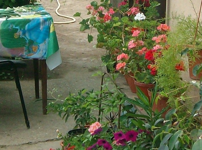 SANY7023
