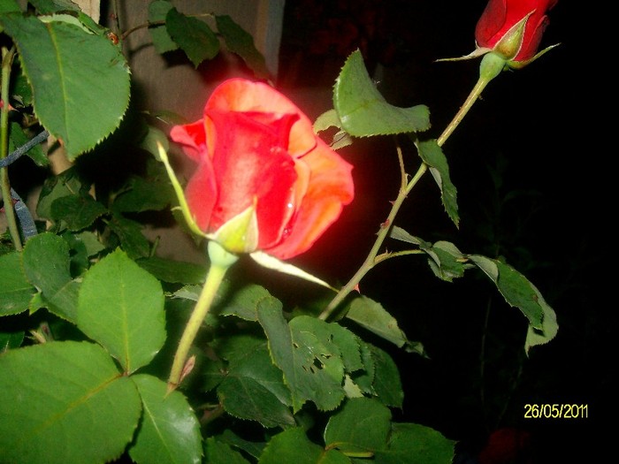 SANY7120