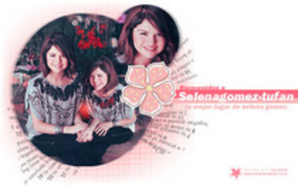 PAIIGAWOXJNHPWWMQZS - album special pt selenairi