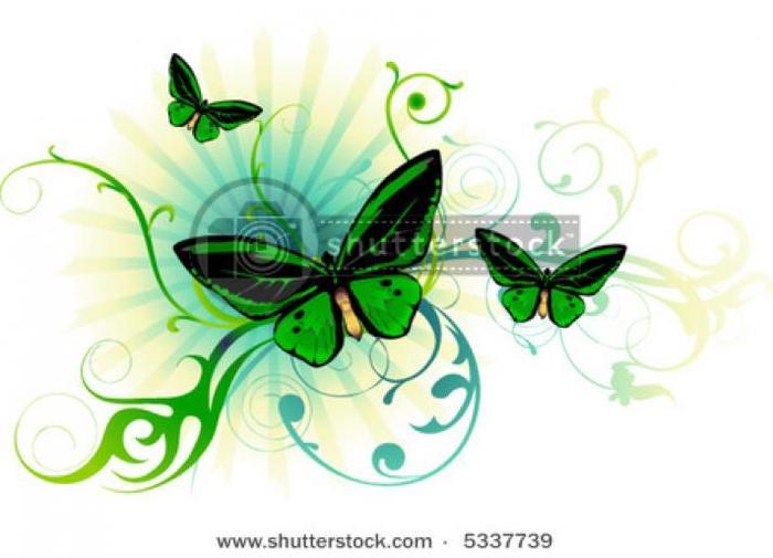 OADJQRDHLLCFAYPCVNK - pe aripile unui buterfly