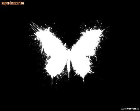 poza-828-1236515829 - pe aripile unui buterfly