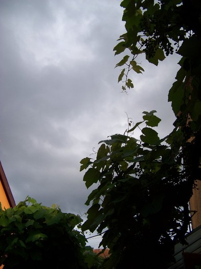 100_8076 - Iunie 2011