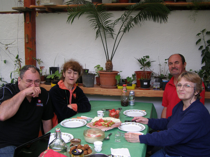 C.O. SATU MARE 060