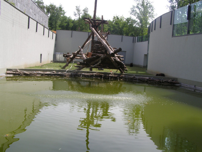 C.O. SATU MARE 091