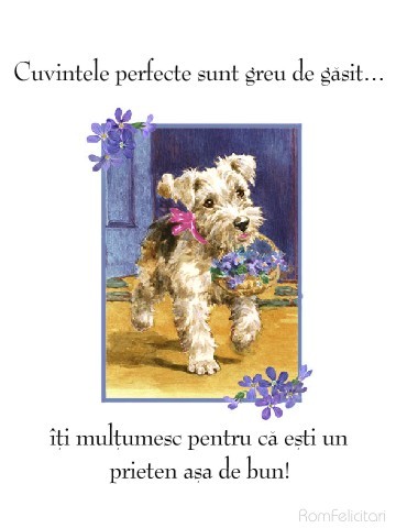 multumesc_1028_05_lg