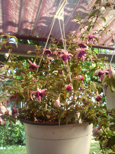 DSC00734