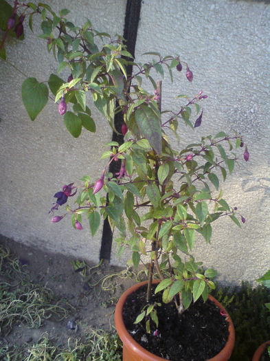 DSC00758