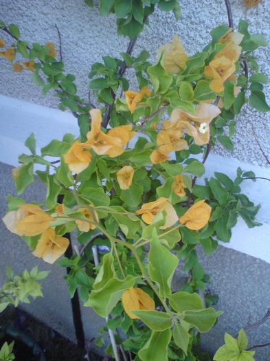 DSC00760