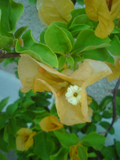 DSC00762