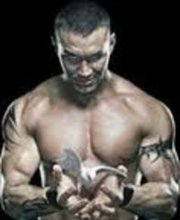 imagesCACZJGRY - poze cu Randy Orton