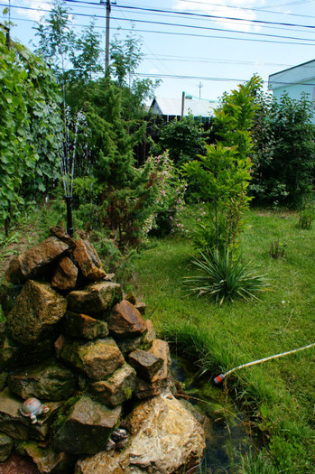 DSC02389 - Minuni la mijloc de iunie