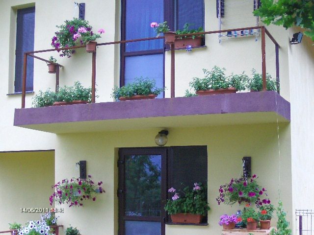 flori la balcoane