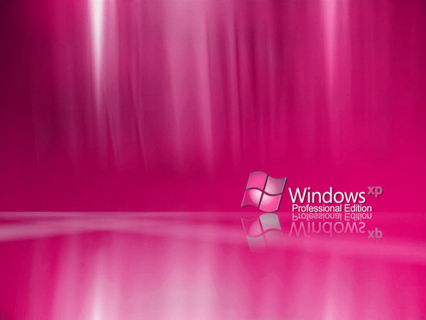 windows-xp background roz - Windows XP