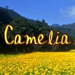 Avatar_cu_nume_Camelia