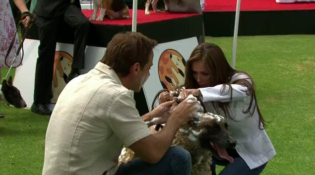 7-20 - Anahi Dos Hogares