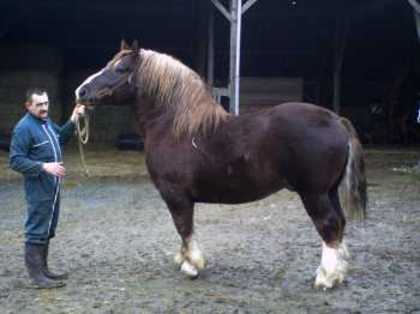 77924_phpe5loKKPM[1]