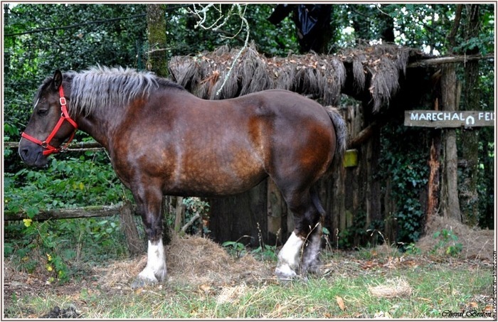 33734654_OUKROCNTH[1]