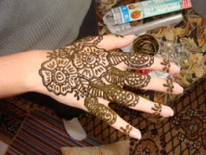 armaanridhima - alegeti henna