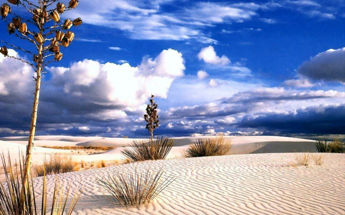 imagini_desktop_desert1