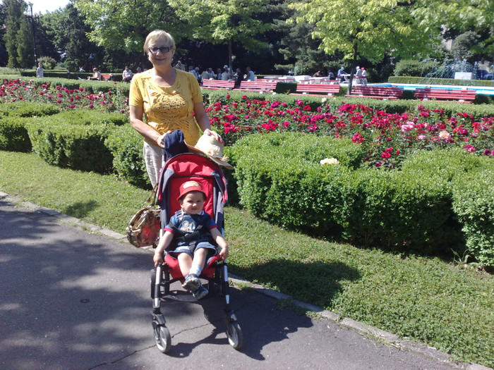 tot cu nonna si trandafiri