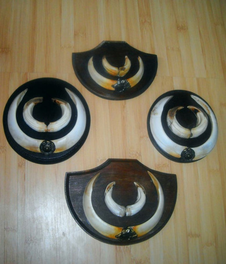 Patru trofee de mistret_600 de lei