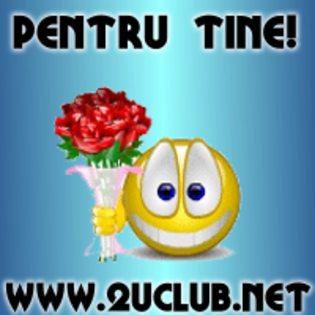 dupa cateva ore,..