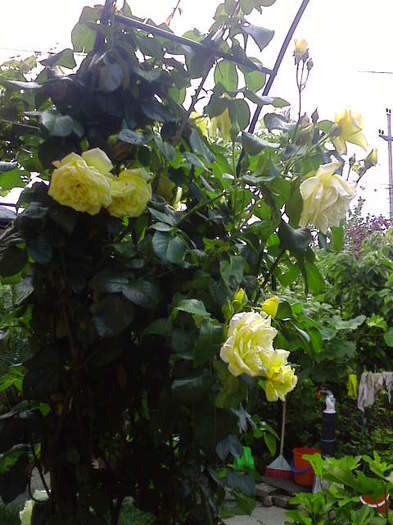Imagine0159 - 2011