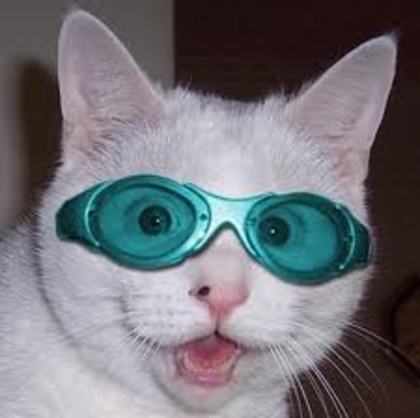 Am reusit!Inventia secolului!