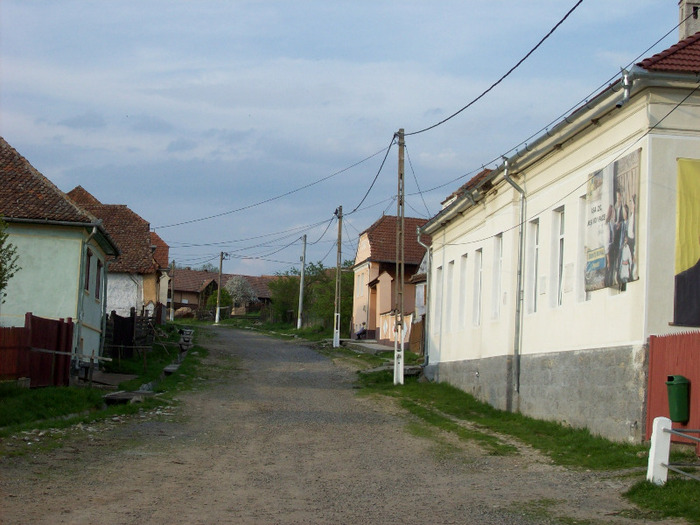 ULITA COCOROVENI din Palos in mai 2010. - SATUL  PALOS ARDEAL