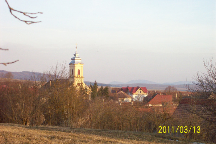 101_8226