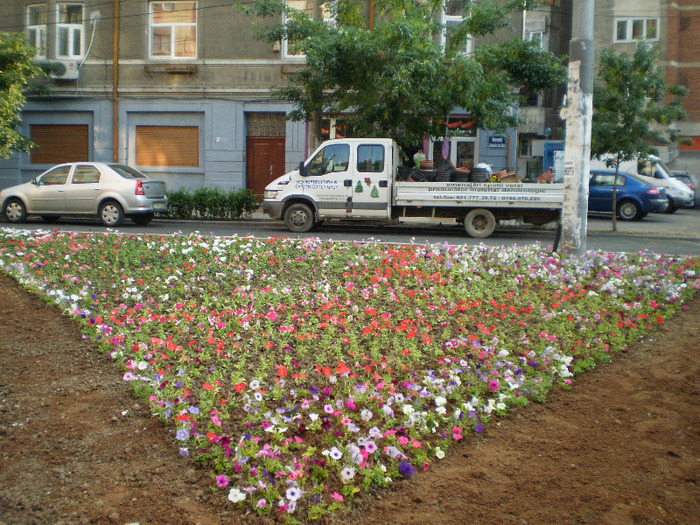P6060049 - BUCURESTI -SECT 1