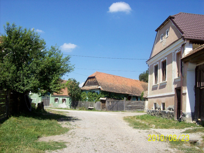 Casa lui Vocila N.si Victoria de la 66 si in fundal a lui Zaharia Andrei si Maria DE LA NR.81.       - Case vechi traditionale din satul Palos-Ardeal