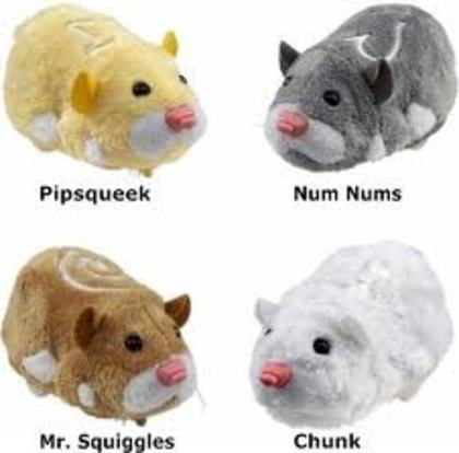 images (2) - zhu zhu pets