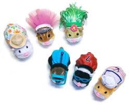 images (12) - zhu zhu pets