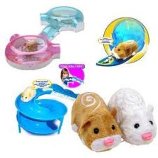 images (15) - zhu zhu pets