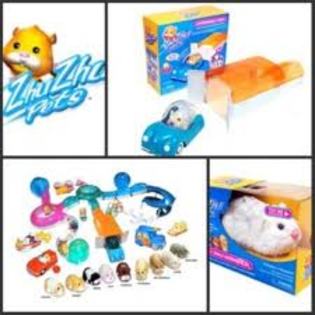 images (22) - zhu zhu pets