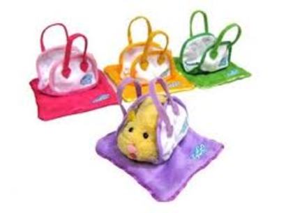 images (24) - zhu zhu pets