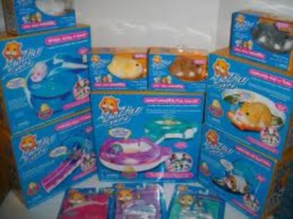 images (25) - zhu zhu pets