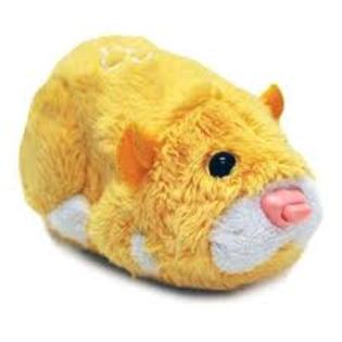 images (29) - zhu zhu pets