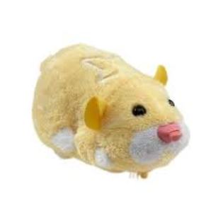 images (34) - zhu zhu pets