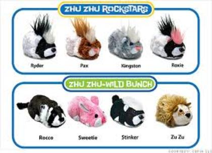 images (36) - zhu zhu pets