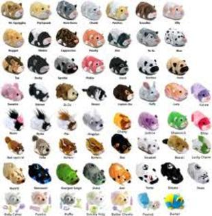 images (38) - zhu zhu pets