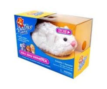 images (39) - zhu zhu pets