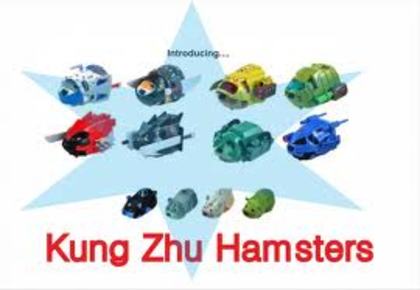 images (11) - kung zhu pets