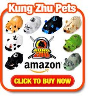 images (19) - kung zhu pets