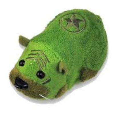 images (27) - kung zhu pets