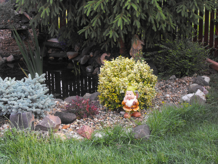 2011