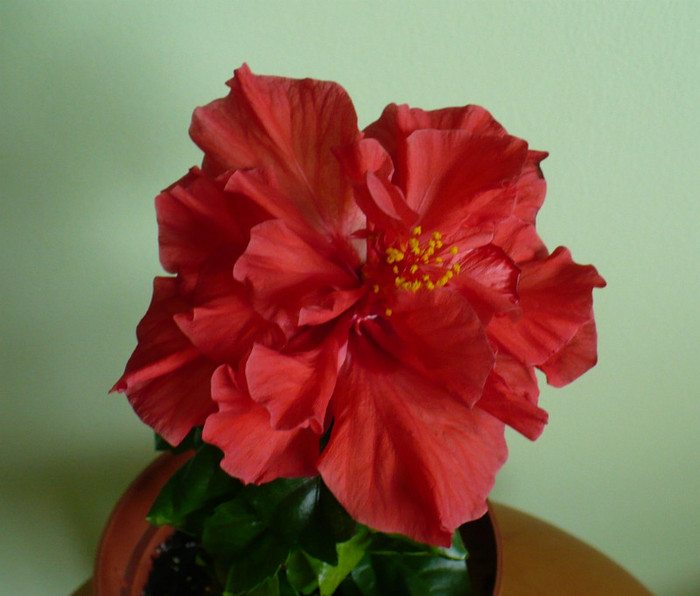 P1340502