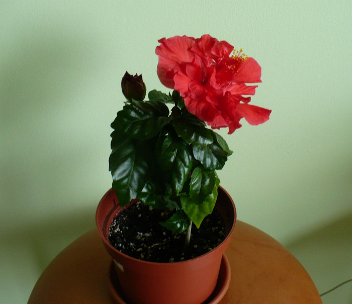 P1340504