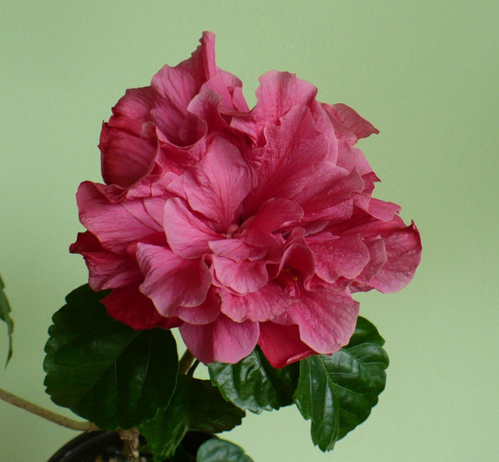 P1340508